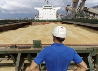 Россия заблокировала зерновые поставки из Украины морским путем: как решают проблему