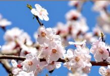 Жди потепления: какая погода будет в Одессе на следующей неделе