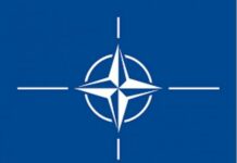 Україна не буде розчарована самітом НАТО, — президент Литви