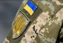 Влада має почати діяти відповідально — допомагати захисникам, а не переслідувати їх, — заява «УДАРу Віталія Кличка»