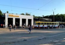 В Одессе заработал сервис перевода жестового языка: где именно