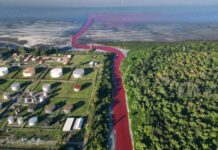 «Кровавая река»: экологическое бедствие в пригороде Буэнос-Айреса
